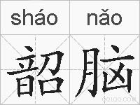 韶脑的拼音