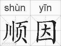 顺因的拼音