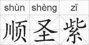 顺圣紫的拼音