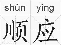 顺应的拼音