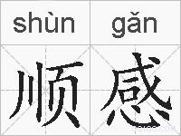顺感的拼音