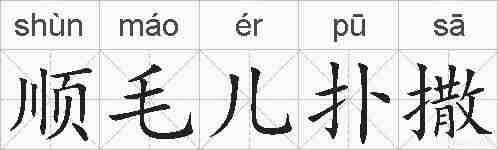 顺毛儿扑撒的拼音