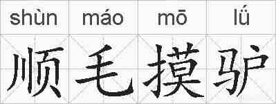 顺毛摸驴的拼音