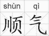 顺气的拼音