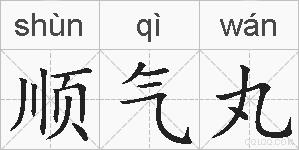 顺气丸的拼音