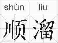 顺溜的拼音