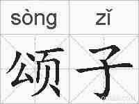颂子的拼音
