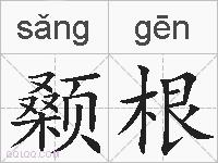 颡根的拼音