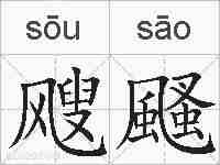 飕颾的拼音