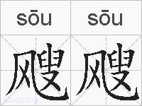 飕飕的拼音