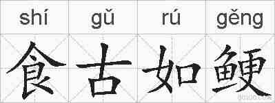 食古如鲠的拼音
