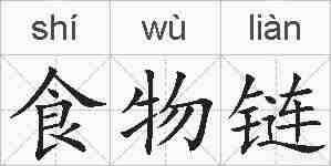 食物链的拼音
