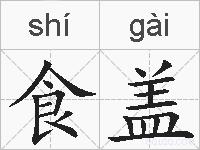 食盖的拼音