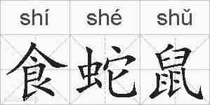 食蛇鼠的拼音