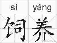 饲养的拼音