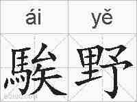 騃野的拼音