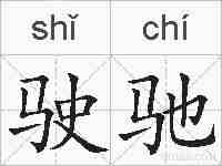 驶驰的拼音