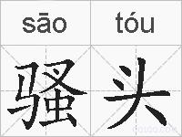 骚头的拼音
