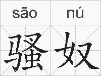 骚奴的拼音