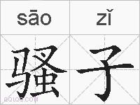 骚子的拼音