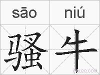 骚牛的拼音