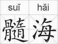 髓海的拼音