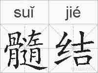 髓结的拼音