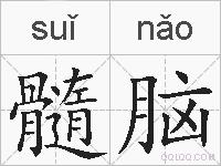 髓脑的拼音