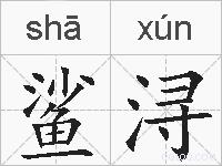 鲨浔的拼音
