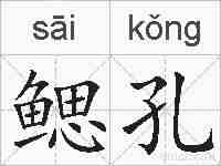 鳃孔的拼音