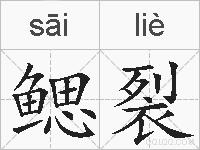 鳃裂的拼音