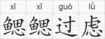 鳃鳃过虑的拼音