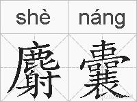 麝囊的拼音