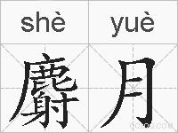 麝月的拼音