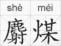 麝煤的拼音