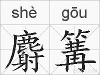 麝篝的拼音