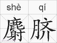 麝脐的拼音