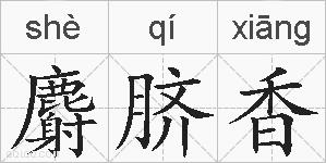 麝脐香的拼音