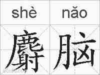 麝脑的拼音