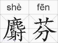 麝芬的拼音