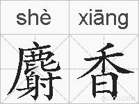 麝香的拼音