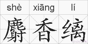 麝香缡的拼音