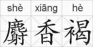 麝香褐的拼音