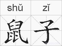 鼠子的拼音