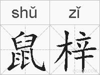鼠梓的拼音
