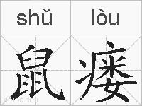 鼠瘘的拼音