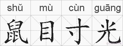 鼠目寸光的拼音