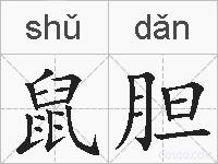 鼠胆的拼音