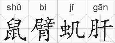 鼠臂虮肝的拼音