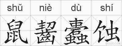 鼠齧蠹蚀的拼音